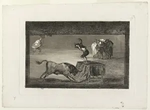Bullfighting: Bullfighting