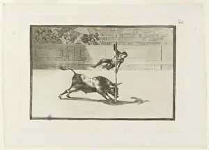 Bullfighting: Bullfighting