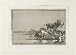 Bullfighting: Bullfighting