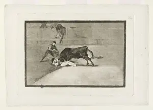 Bullfighting: Bullfighting