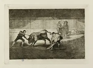 Bullfighting: Bullfighting