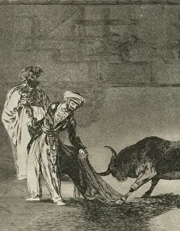 Bullfighting: Bullfighting