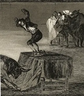 Bullfighting: Bullfighting