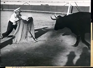 Bullring: Bullfighting demonstration in Rabat, Morocco