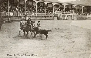 Bullring: Bullfighting - Lima, Peru