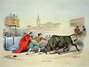 Matadors: Bullfighting - Matador fighting a Bull