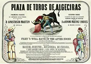 Superb: BULLFIGHTING POSTER