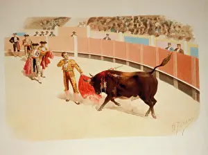 Worldly: Bullfighting scene with bull and matador