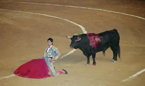 Torero: Bullfighting in Spain