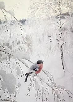 Kittelsen: Bullfinch in Winter