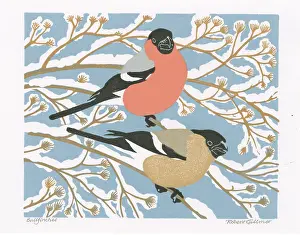 Linocut: Bullfinches