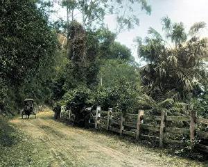 Bulli: Bulli Pass, Illawarra District, New South Wales, Australia