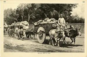 Macfarlane: Bullock Train in India, by J Macfarlane