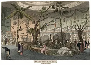 Contained: BULLOCK'S MUSEUM