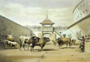 Corral: The bulls in the corral of the plaza