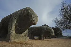 Le N: Bulls of Guisando