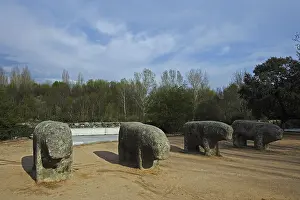 Le N: Bulls of Guisando