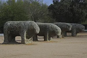 Le N: Bulls of Guisando