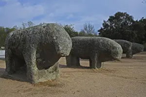 Le N: Bulls of Guisando