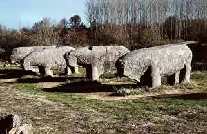 Guisando: BULLS OF GUISANDO. SPAIN