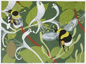 Pollen: Bumblebees