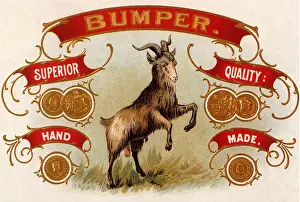 Bumper: Bumper