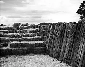 Overflow: BUMPER HAY HARVEST