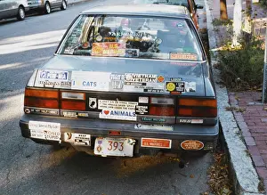 Stickers: BUMPER STICKERS BOSTON