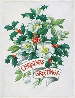 Lynes: Bunch of Christmas Roses and Holly