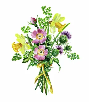 Ockenden: Bunch of daffodils, wild roses, thistle