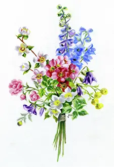 Ockenden: Bunch of flowers