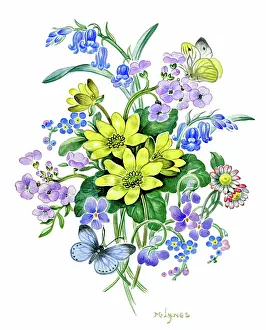 Celandines: Bunch of flowers with two butterflies
