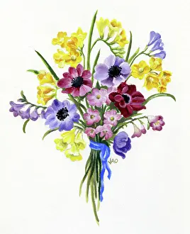 Ockenden: Bunch of Freesias and Anemones