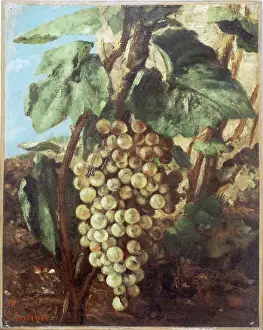 Courbet: Bunch of grapes