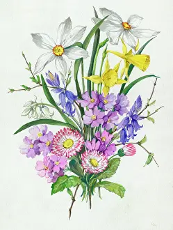 Narcissi: Bunch of narcissi, bluebells, daisies etc
