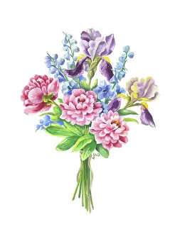 Ockenden: Bunch of Peonies, Irises and Delphiniums