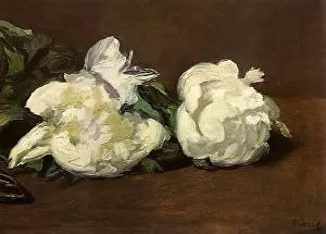 Manet: Bunch of Peonies and Pruning, by Manet