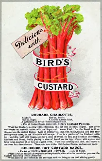 Rhubarb: A bunch of Rhubarb - delicious with Birds Custard