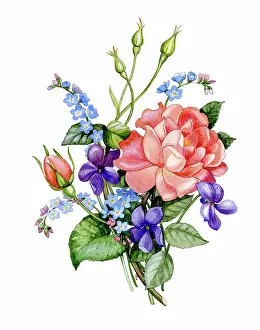 Sherborne: Bunch of Roses, Forget-me-nots and Violets