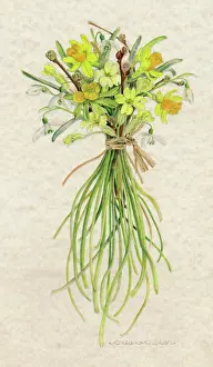 Loosely: BUNCH OF SPRING FLOWERS