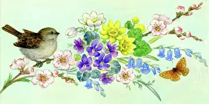Celandine: Bunch of spring flowers with sparrow & butterfly