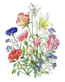 Cornflower: A bunch of summer flowers