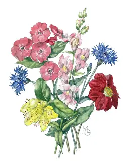 Wort: A Bunch of Summer Flowers
