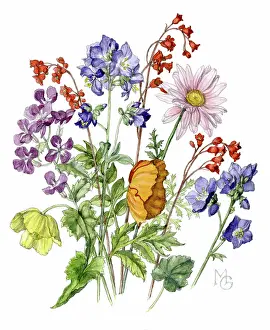 Gillies: A bunch of summer flowers