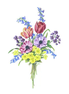 Primroses: Bunch of Tulips, Anemones, Bluebells etc