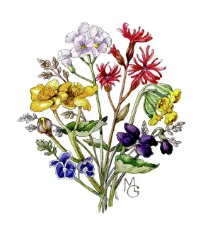 Cowslips: Bunch of wild flowers