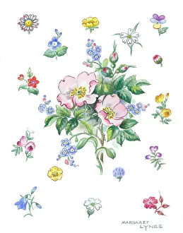 Lynes: Bunch of wild roses surrounded wild flowers