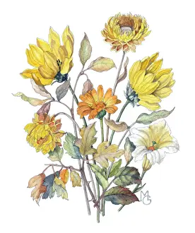 Chrysanthemum: Bunch of yellow flowers