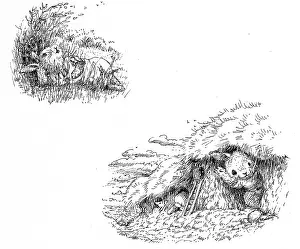 Bunnies: The Bunnies Beach Barbecue