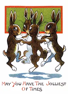 Bunnies: FOUR BUNNIES DANCE